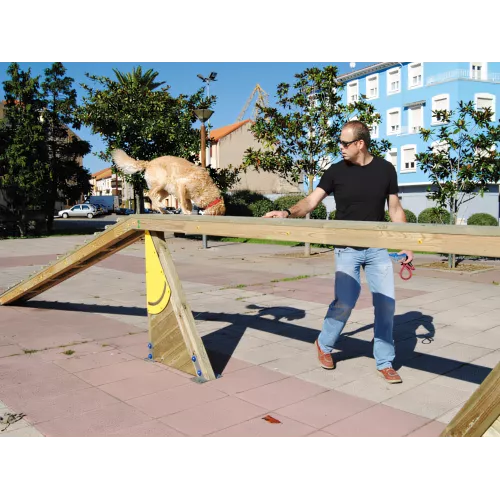 Passerelle bois antidérapante 10 mètres agility chien