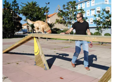 Passerelle bois antidérapante 10 mètres agility chien