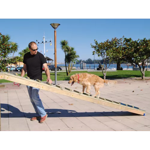 Passerelle bois antidérapante 10 mètres agility chien