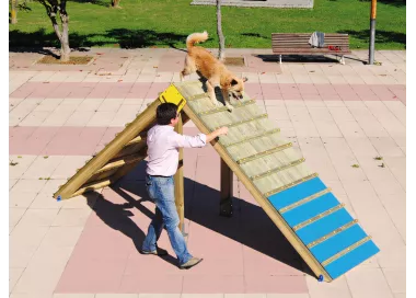 Palissade d'agility en bois traité 4,15m