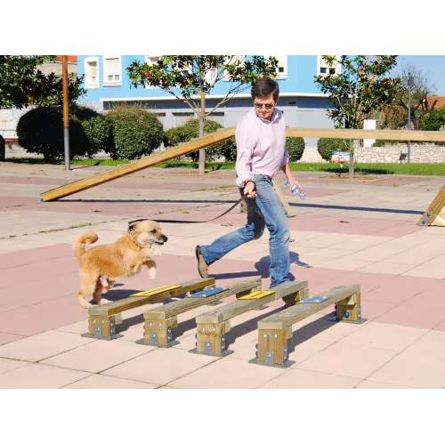 Saut en longueur bois pour chiens