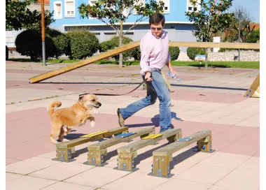 Saut en longueur bois pour chiens