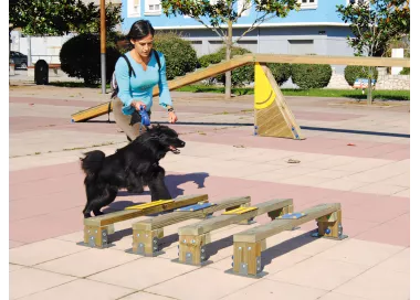 Saut en longueur bois pour chiens