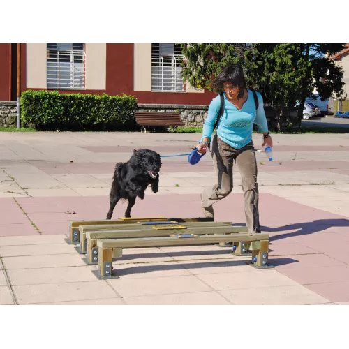 Saut en longueur bois pour chiens