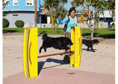 Saut en hauteur réglable pour chien