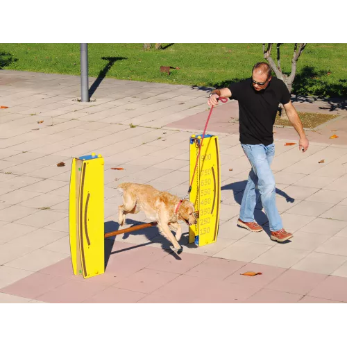 Saut en hauteur réglable pour chien