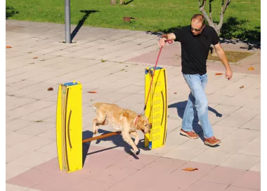 Saut en hauteur réglable pour chien