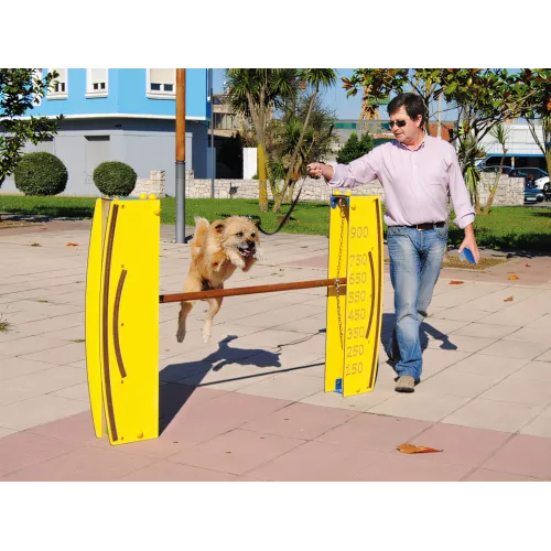 Saut en hauteur réglable pour chien