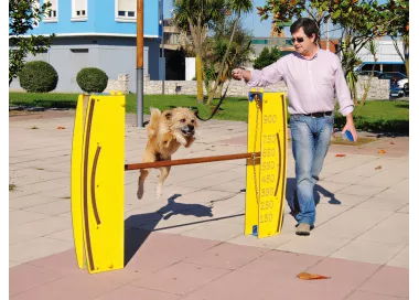 Saut en hauteur réglable pour chien