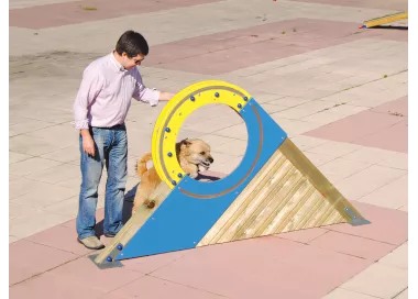 Roue d'agilité en bois pour chien