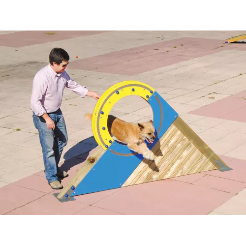 Roue d'agilité en bois pour chien