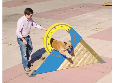 Roue d'agilité en bois pour chien