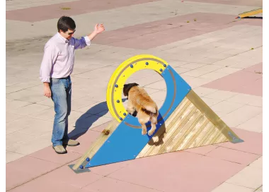 Roue d'agilité en bois pour chien