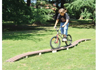 Passerelle courbe en bois lamellé-collé 5,73m