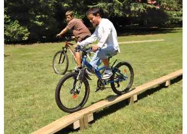 Passerelle droite en bois traité 8 mètres