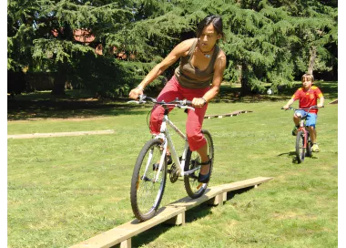 Passerelle droite en bois traité 8 mètres