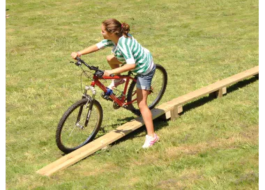 Passerelle droite en bois traité 8 mètres